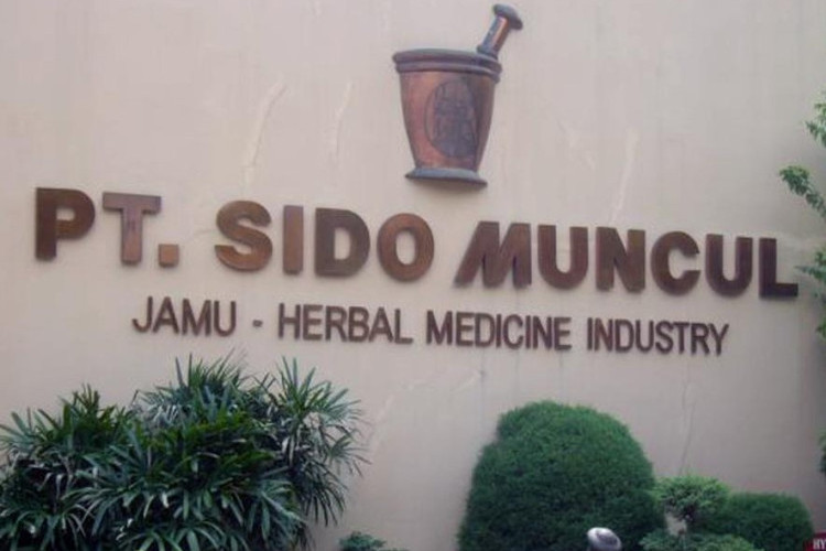 Prospek Saham Sido Muncul (SIDO) Diramal Bakal Moncer Saat Musim Hujan Tiba September-Oktober 2024