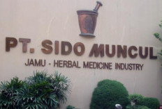 Prospek Saham Sido Muncul (SIDO) Diramal Bakal Moncer Saat Musim Hujan Tiba September-Oktober 2024