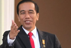 Pembangunan Era 10 Tahun Jokowi, Infrastruktur Masif, Layakkah Disebut Sebagai Bapak Pembangunan Indonesia?